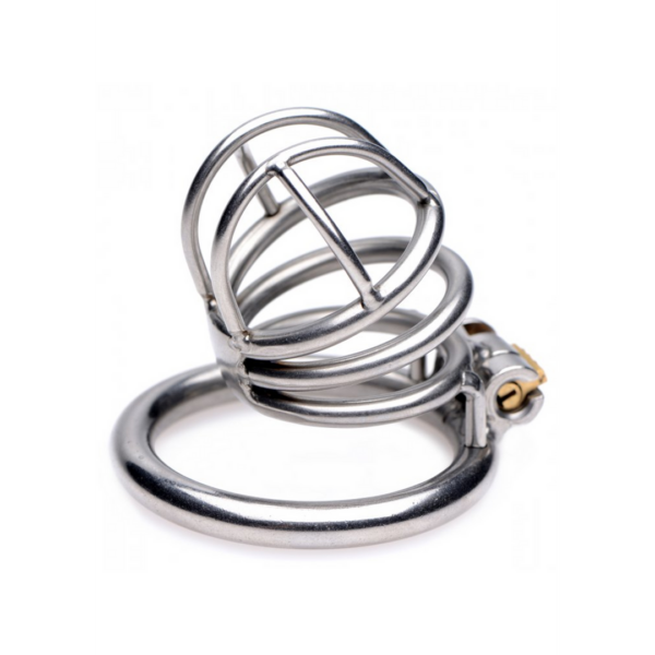 The Pen Deluxe Locking Chastity Cage - Silver